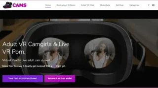 Exploring the Sensation of Presence in VR Porn